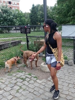 Palmer Doggie Depot