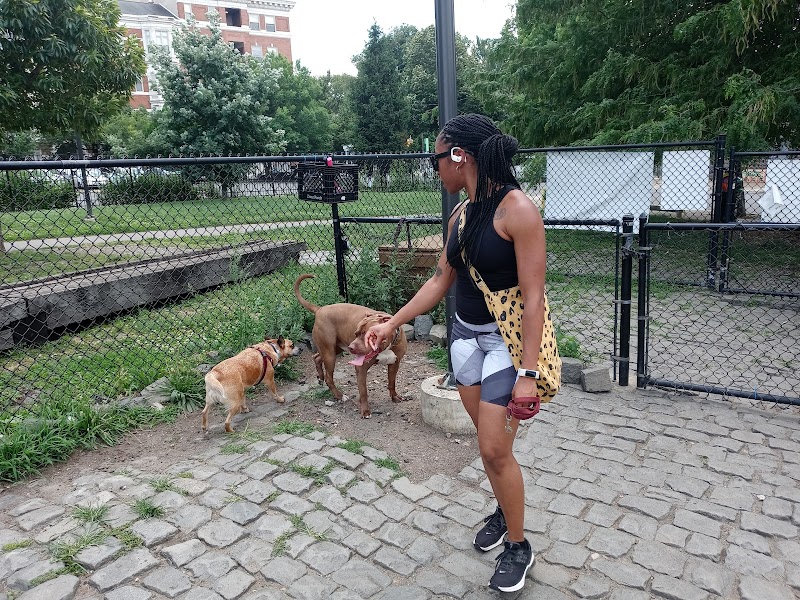 Palmer Doggie Depot - Philadelphia, PA