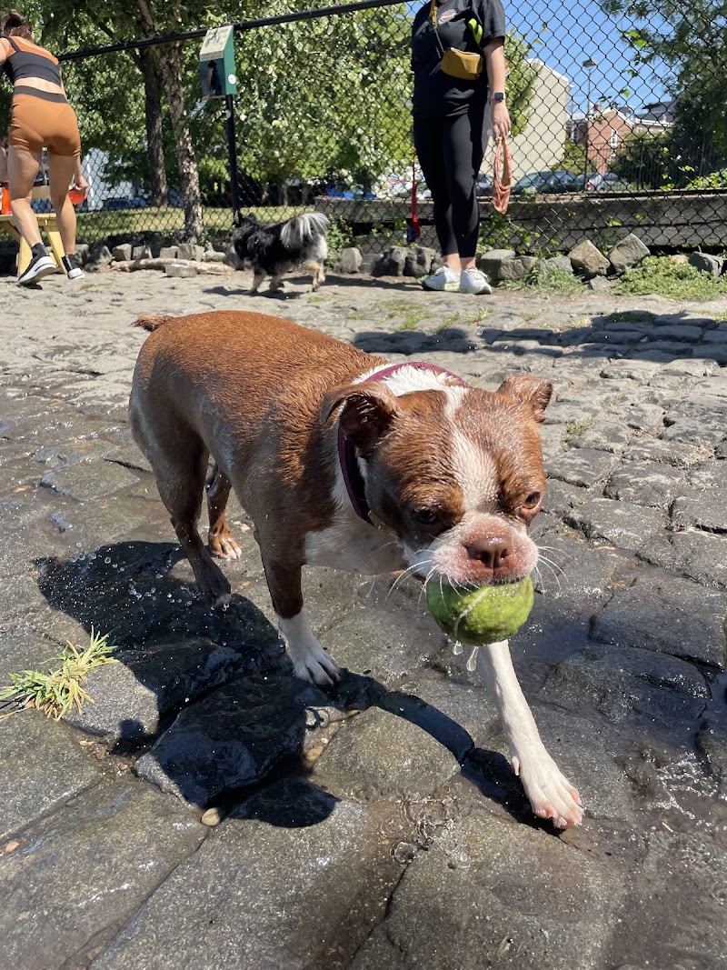 Palmer Doggie Depot - Philadelphia, PA