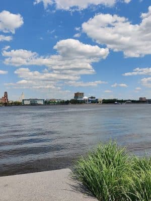 Penn's Landing Dog Park