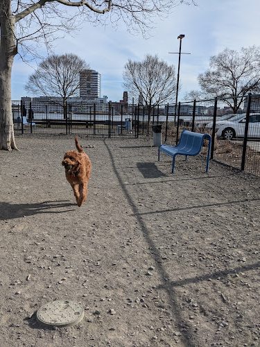 Penn's Landing Dog Park