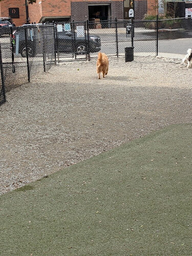 Piazza Dog Park