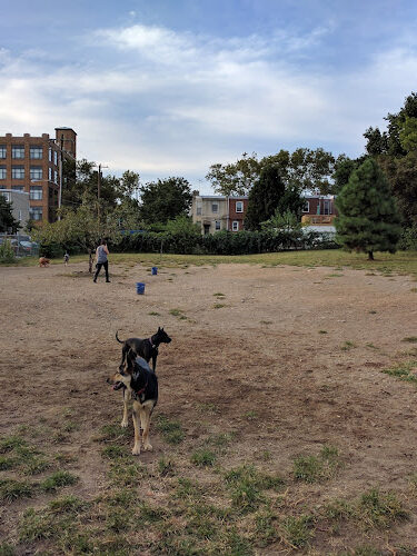 Roxborough Dog Park