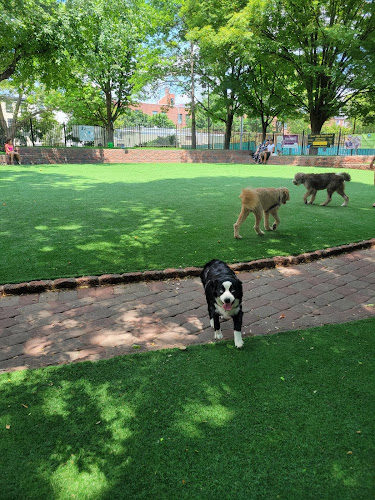 Seger Dog Park