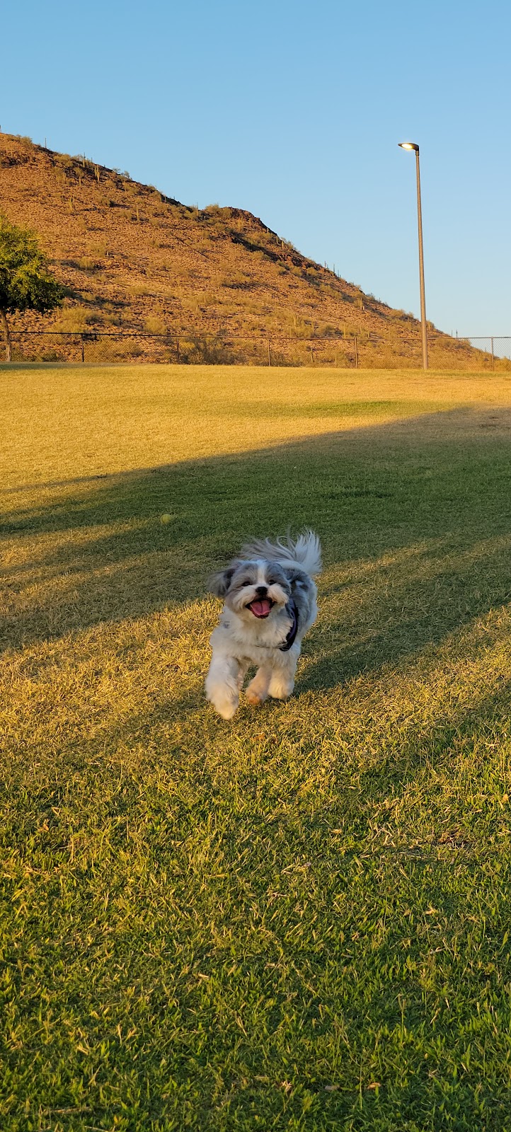 Deem Hills Dog Park - Phoenix, AZ