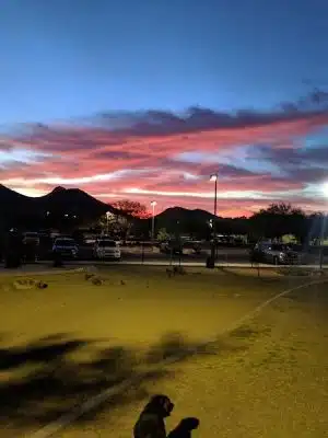 Deem Hills Dog Park