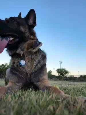 Deem Hills Dog Park