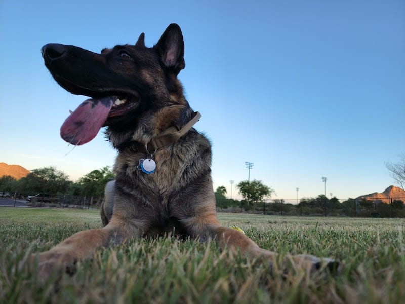 Deem Hills Dog Park - Phoenix, AZ