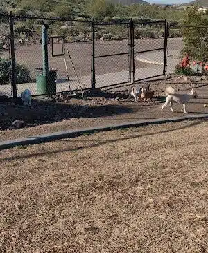 Deem Hills Dog Park