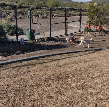 Deem Hills Dog Park