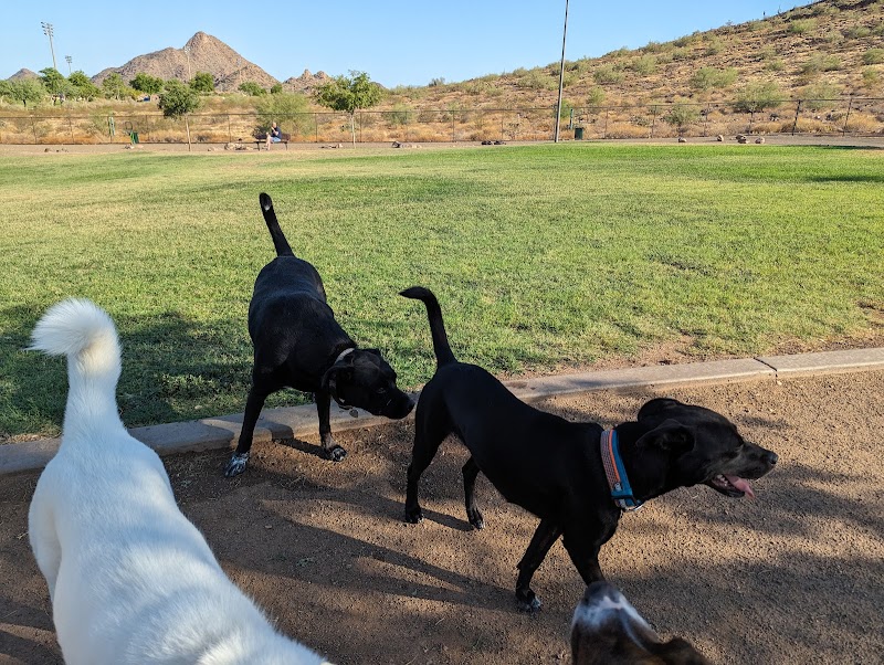 Deem Hills Dog Park - Phoenix, AZ