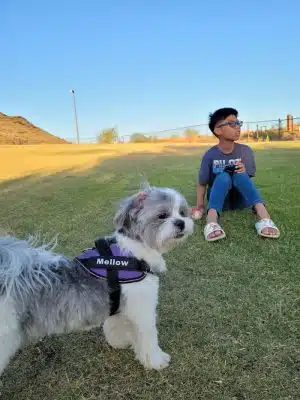 Deem Hills Dog Park