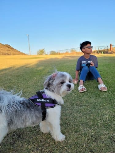 Deem Hills Dog Park