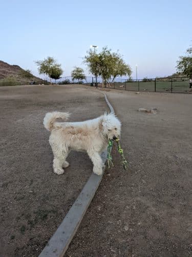 Deem Hills Dog Park