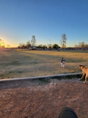 Esteban Dog Park