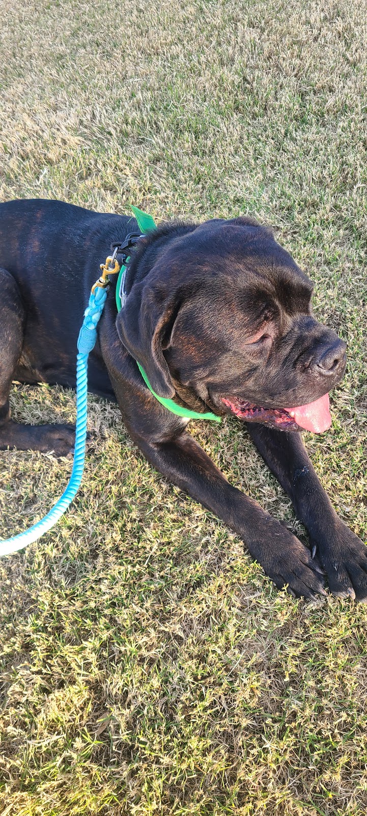 Esteban Dog Park - Phoenix, AZ