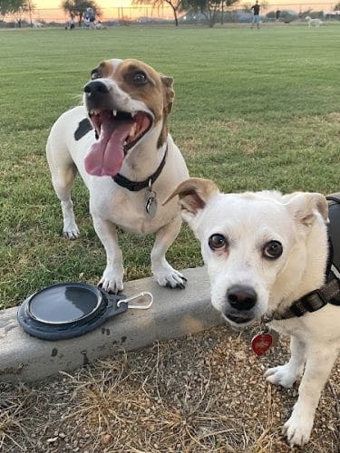 Pinnacle Dog Park