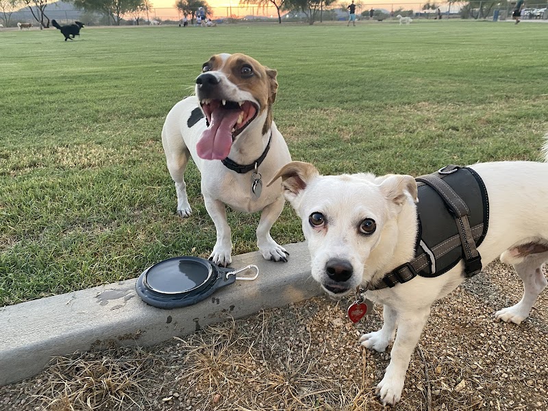 Pinnacle Dog Park - Phoenix, AZ