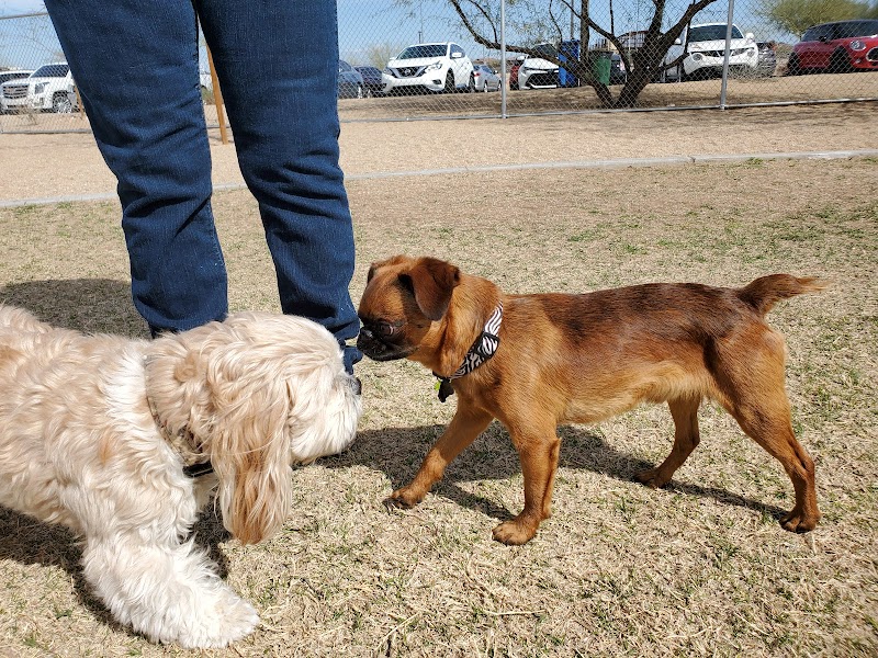 Pinnacle Dog Park - Phoenix, AZ