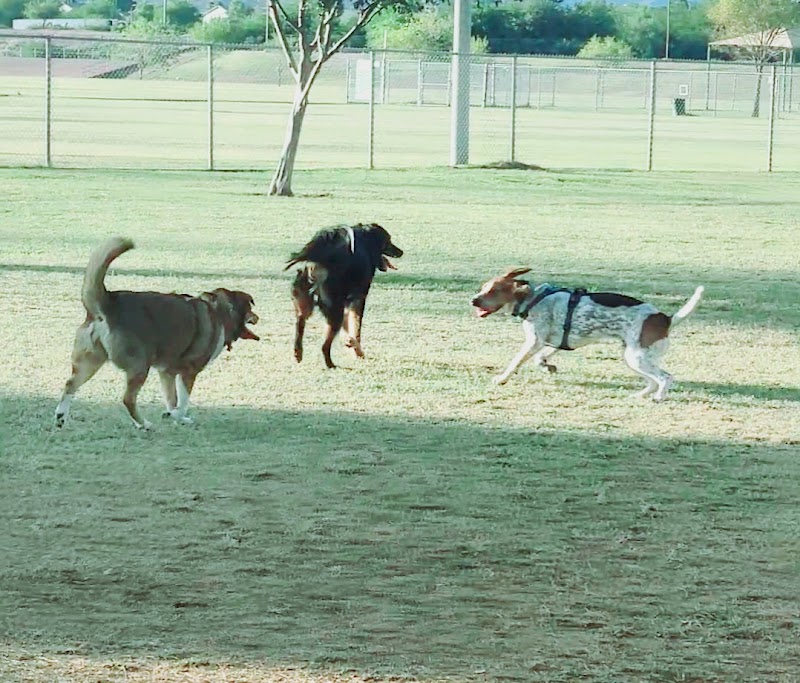RJ Dog Park at Pecos Park - Phoenix, AZ