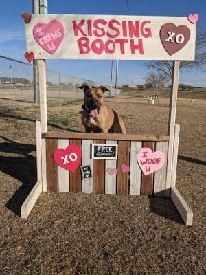 RJ Dog Park at Pecos Park