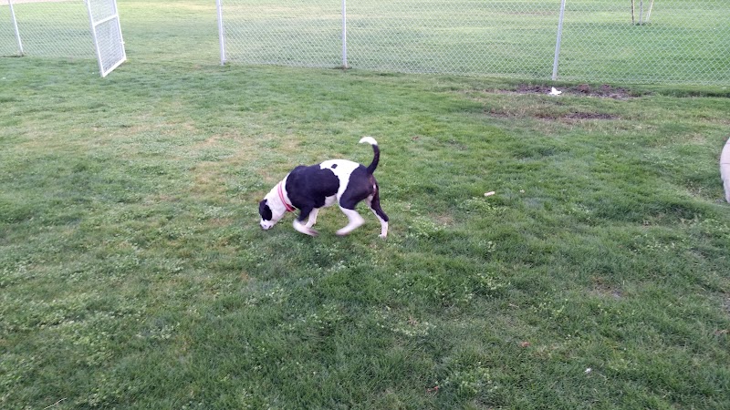 Trailwood Dog Park - Phoenix, AZ