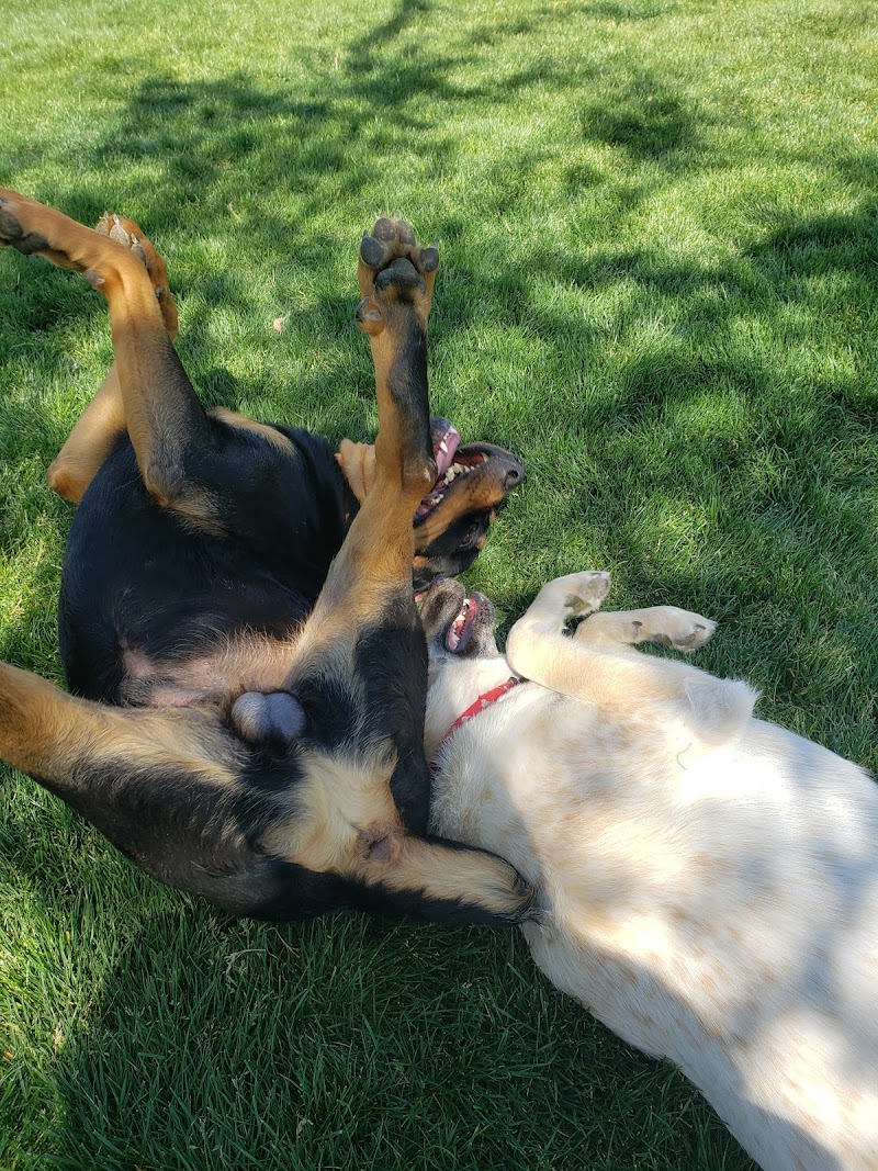 Trailwood Dog Park - Phoenix, AZ