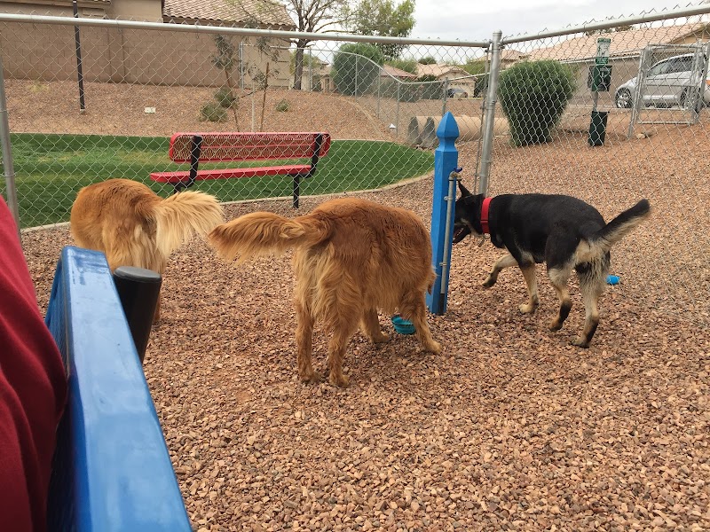 Trailwood Dog Park - Phoenix, AZ