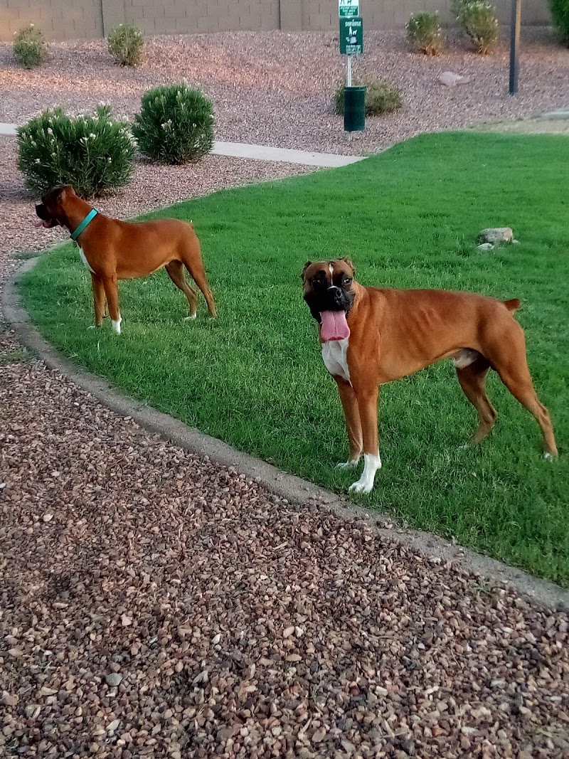 Trailwood Dog Park - Phoenix, AZ