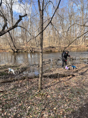 French Creek Trail