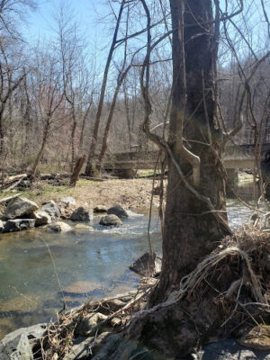 Pickering Creek Trail