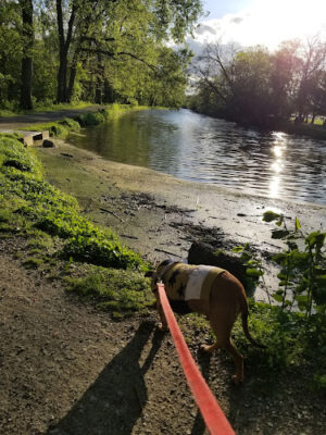 Port Providence Trailhead - Schuylkill River Trail