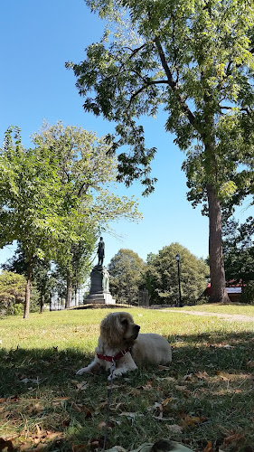 Reeves Park