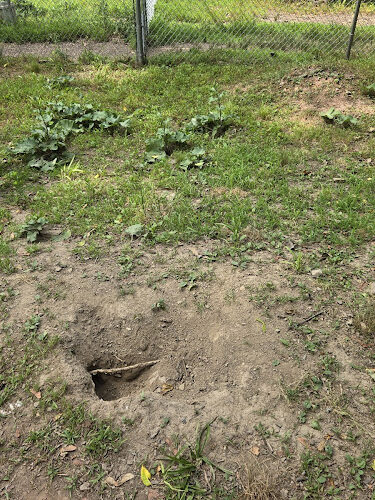 Reservoir Dog Park