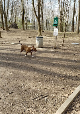 Reservoir Park