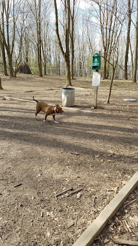 Reservoir Park