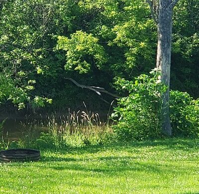 Pickford Township Park - Pickford, MI