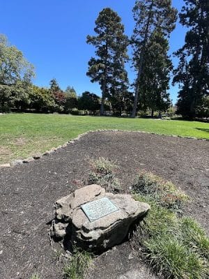 Bear Park
