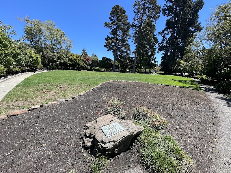 Bear Park - Piedmont, CA