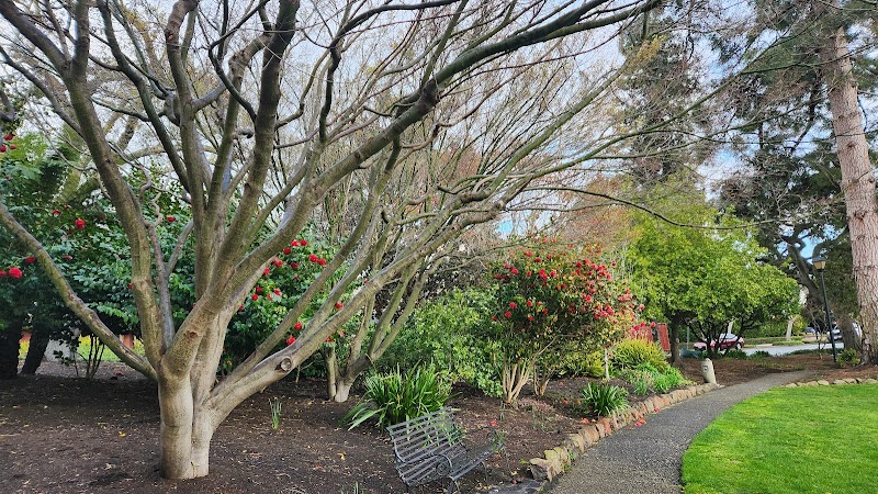 Bear Park - Piedmont, CA
