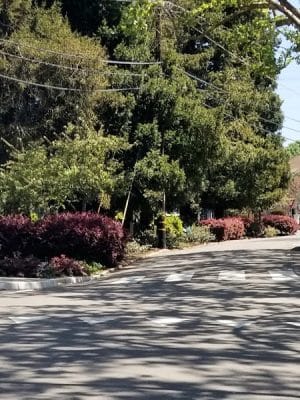 Dearing Park