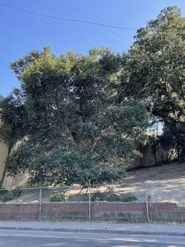 Linda Ave Dog Park