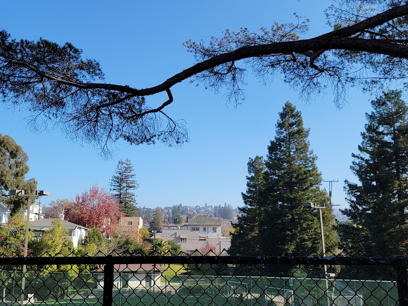 Linda Ave Dog Park - Piedmont, CA