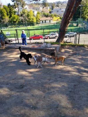 Linda Ave Dog Park