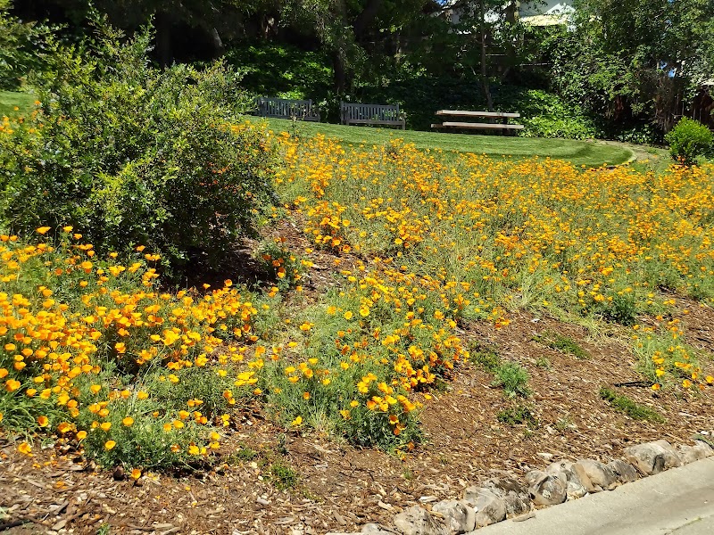 Linda Ave Dog Park - Piedmont, CA