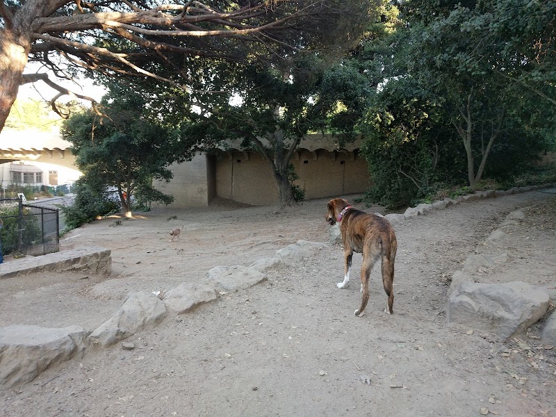 Linda Ave Dog Park - Piedmont, CA