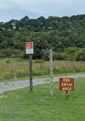 Curwensville Lake Dog Park