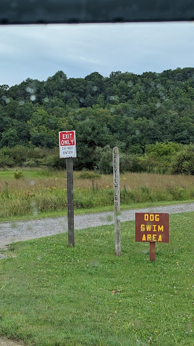 Curwensville Lake Dog Park