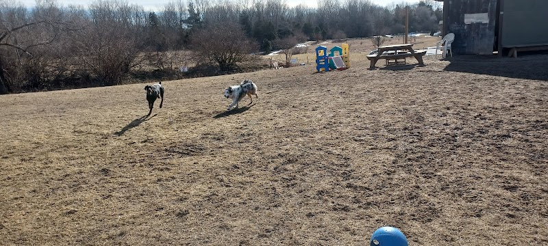 Dog Park at Arise Church - Pinckney, MI