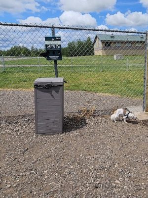 Jane Robbins Memorial Dog Park - Pine City, MN
